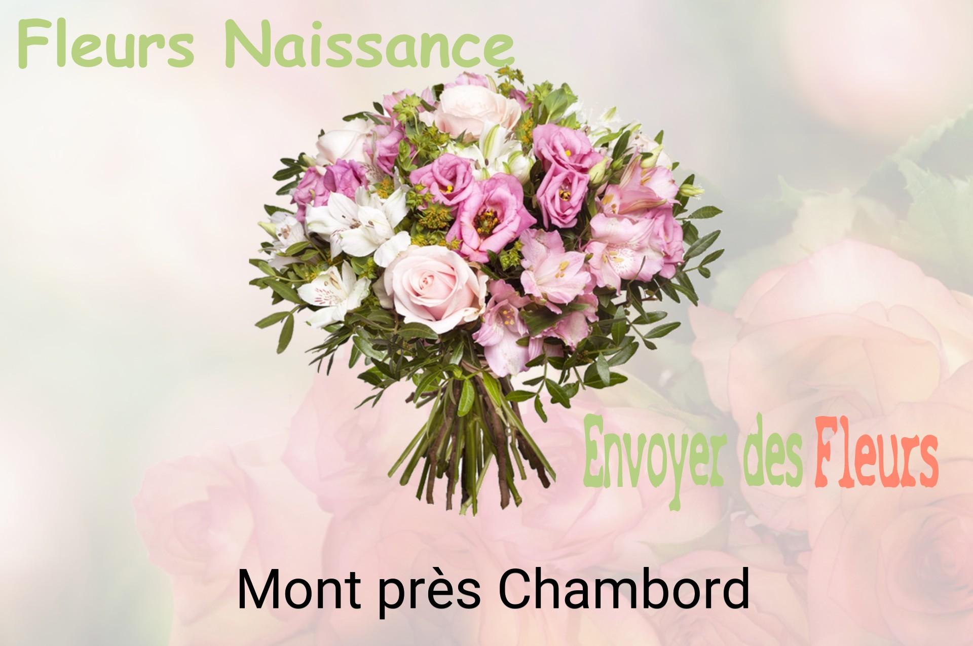Bouquet de fleurs de naissance livré à Mont-près-Chambord